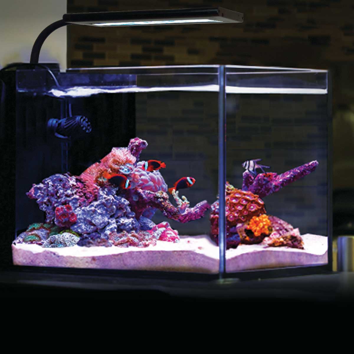 (OPEN BOX) Orbit Marine NANO LED Light w/Gooseneck Mount & Dynamic Controller - Current USA